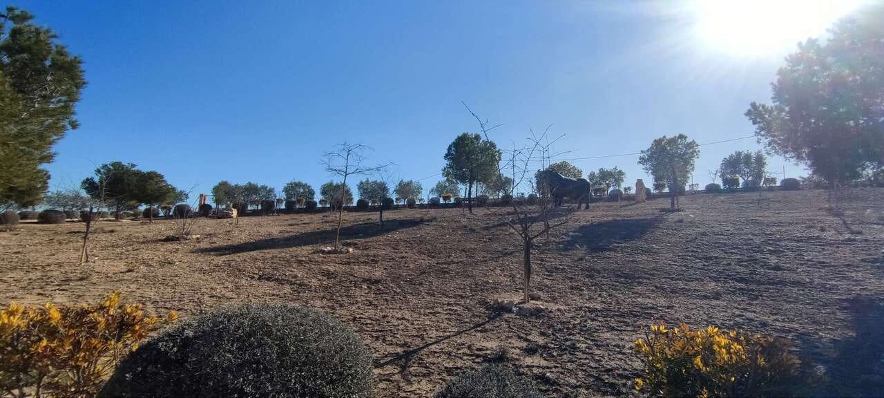 3 soverom Finca/Herregård til salgs i Pinoso med svømmebasseng - € 399 995 (Ref: 8860376)