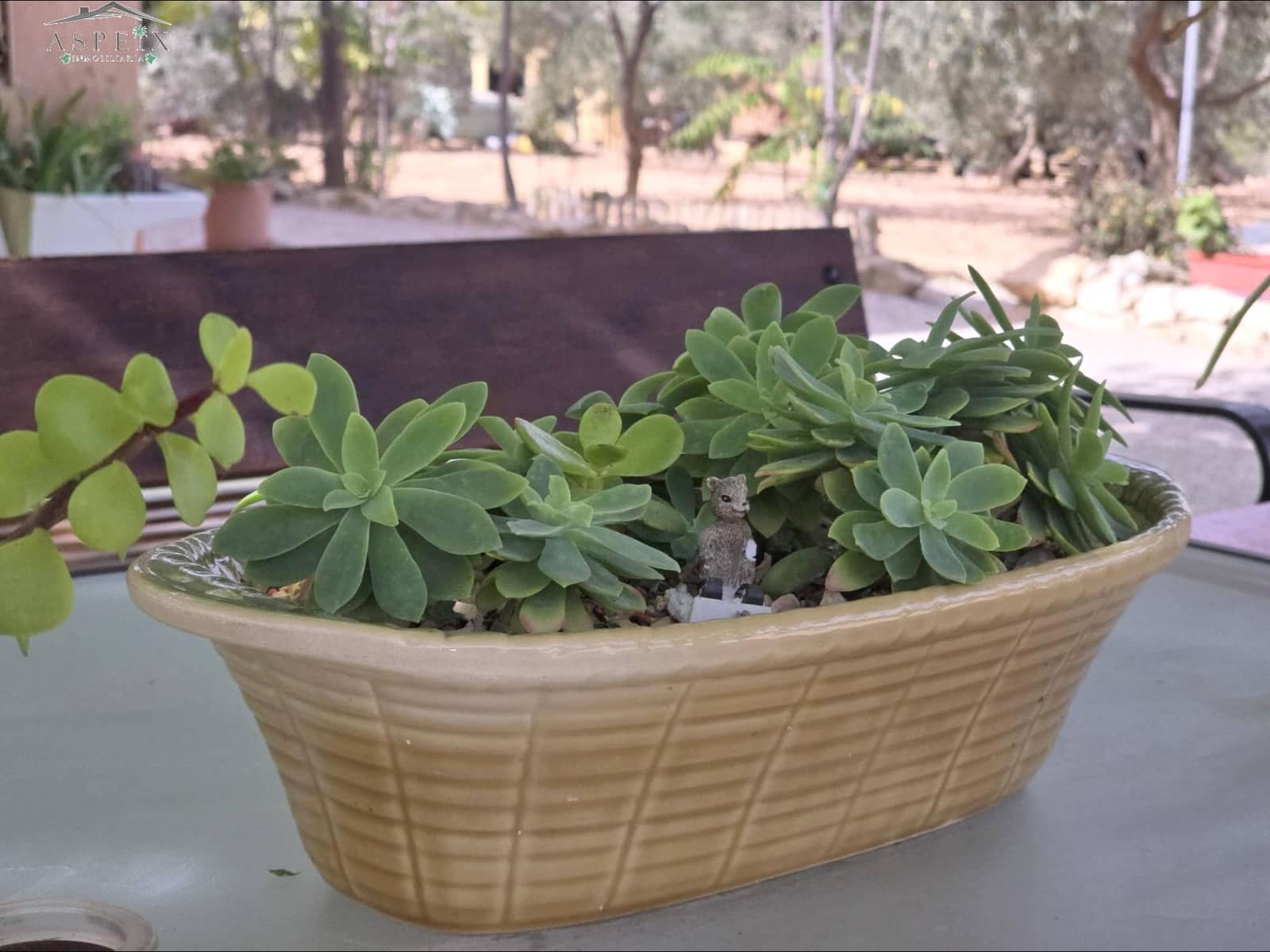 2 soveværelse Finca/Landehus til salg i Hondon de los Frailes - € 167.000 (Ref: 8916645)