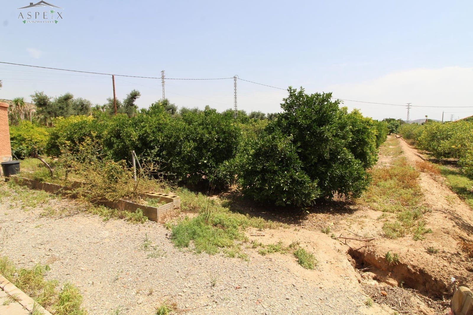 6 sovrum Finca/Hus på landet till salu i Elche / Elx - 350 000 € (Ref: 8916647)