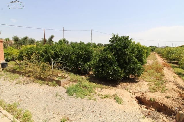 6 sovrum Finca/Hus på landet till salu i Elche / Elx - 350 000 € (Ref: 8916647)