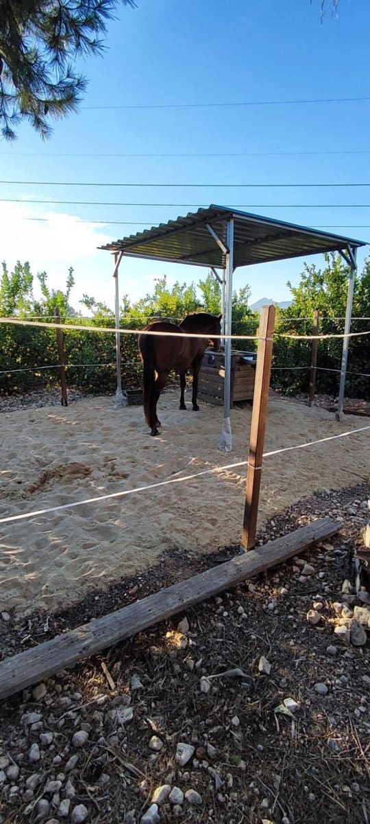 6 camera da letto Finca/Casa di Campagna in vendita in Orihuela - 450.000 € (Rif: 8964349)