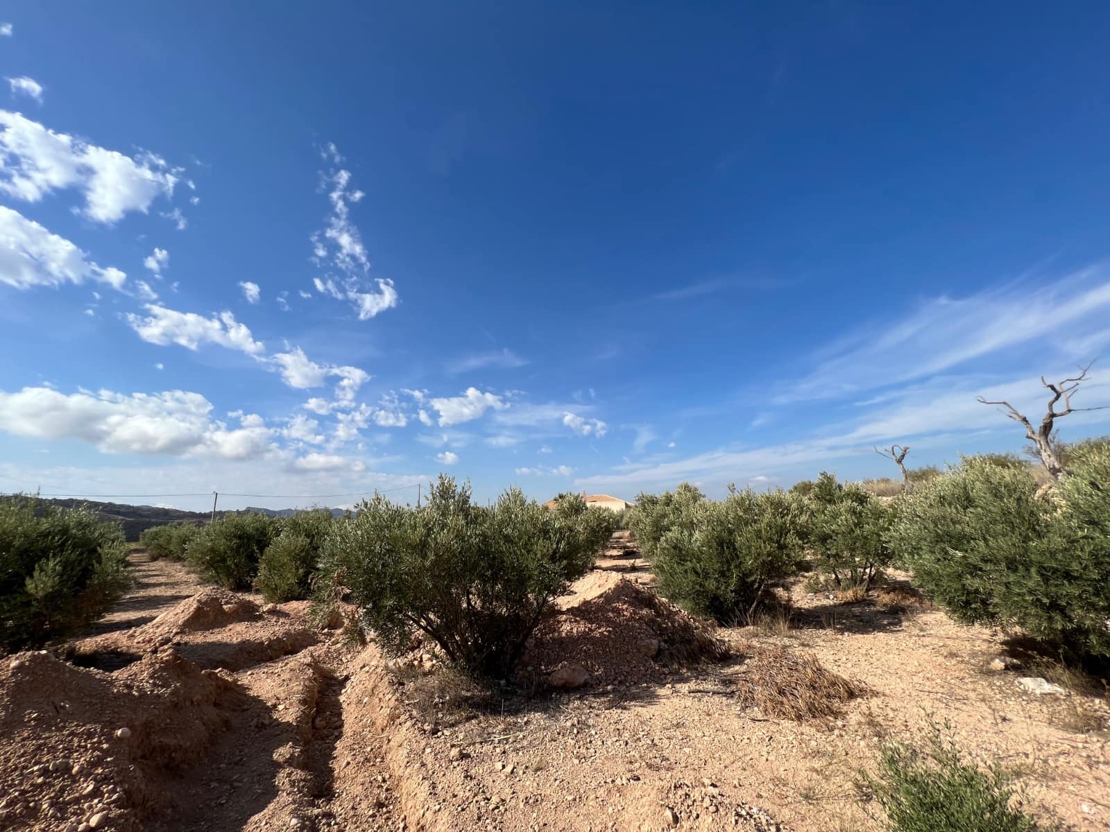 3 soverom Finca/Herregård til salgs i Macisvenda med garasje - € 300 000 (Ref: 9266466)