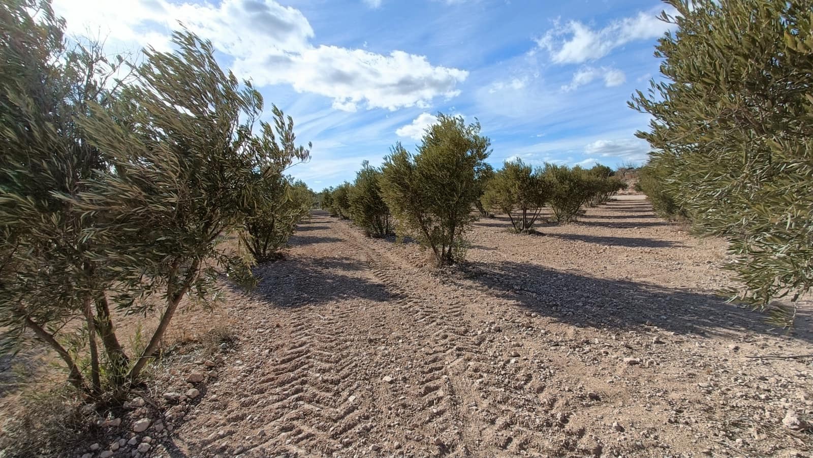 3 soverom Finca/Herregård til salgs i Macisvenda med garasje - € 300 000 (Ref: 9266466)