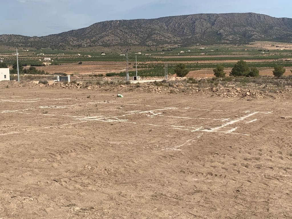 3 soverom Finca/Herregård til salgs i Pinoso med svømmebasseng - € 350 000 (Ref: 9266485)