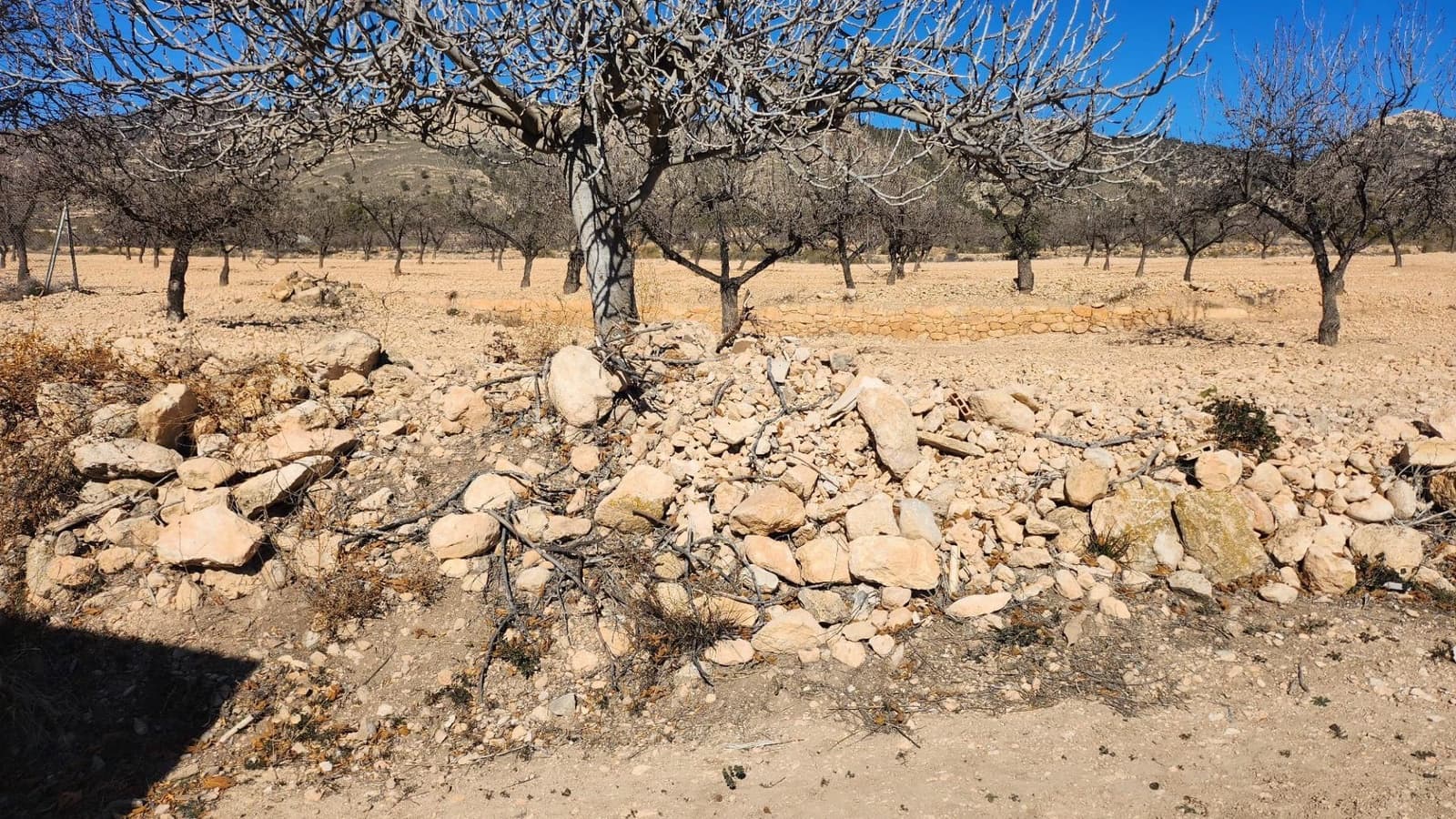 Finka/Dom wiejski na sprzedaż w Pinoso - 75 000 € (Ref: 9288175)