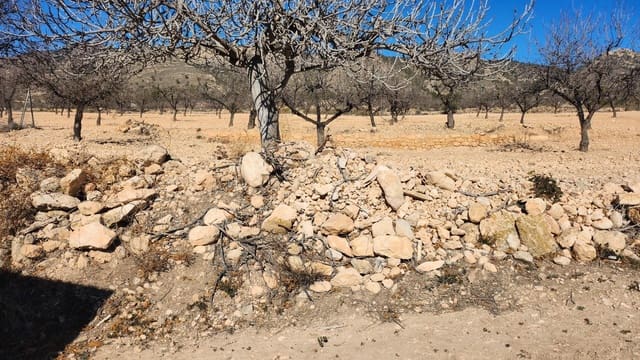 Finka/Dom wiejski na sprzedaż w Pinoso - 75 000 € (Ref: 9288175)