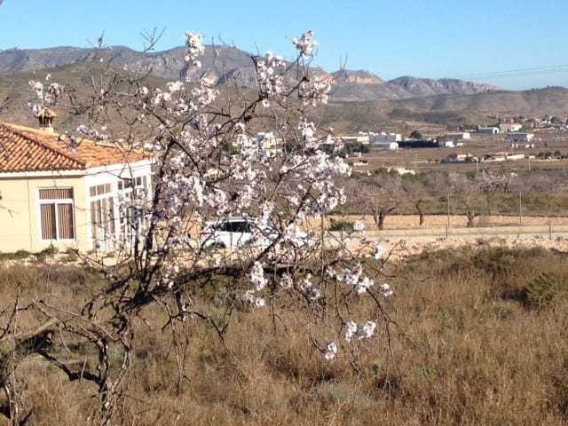 Building Plot for sale in Hondón de los Frailes - € 25,000 (Ref: 9306372)