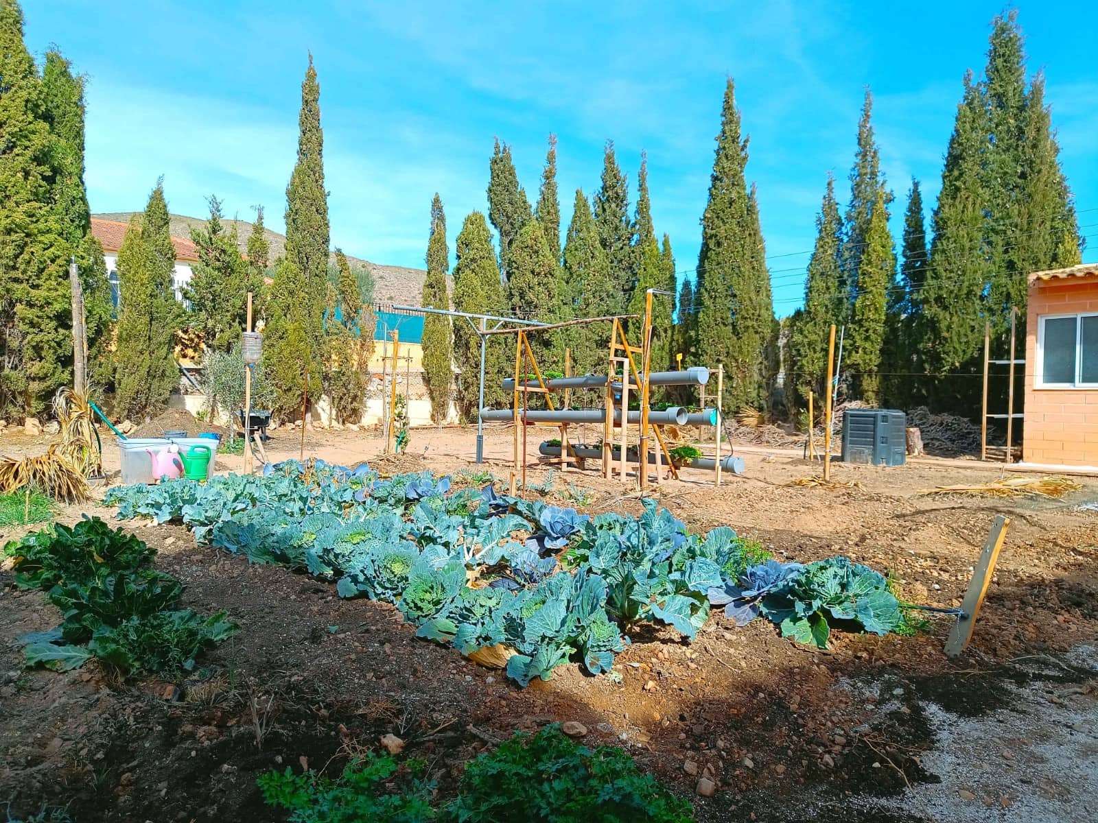 5 soveværelse Finca/Landehus til salg i Hondon de los Frailes med swimmingpool garage - € 369.550 (Ref: 9324313)