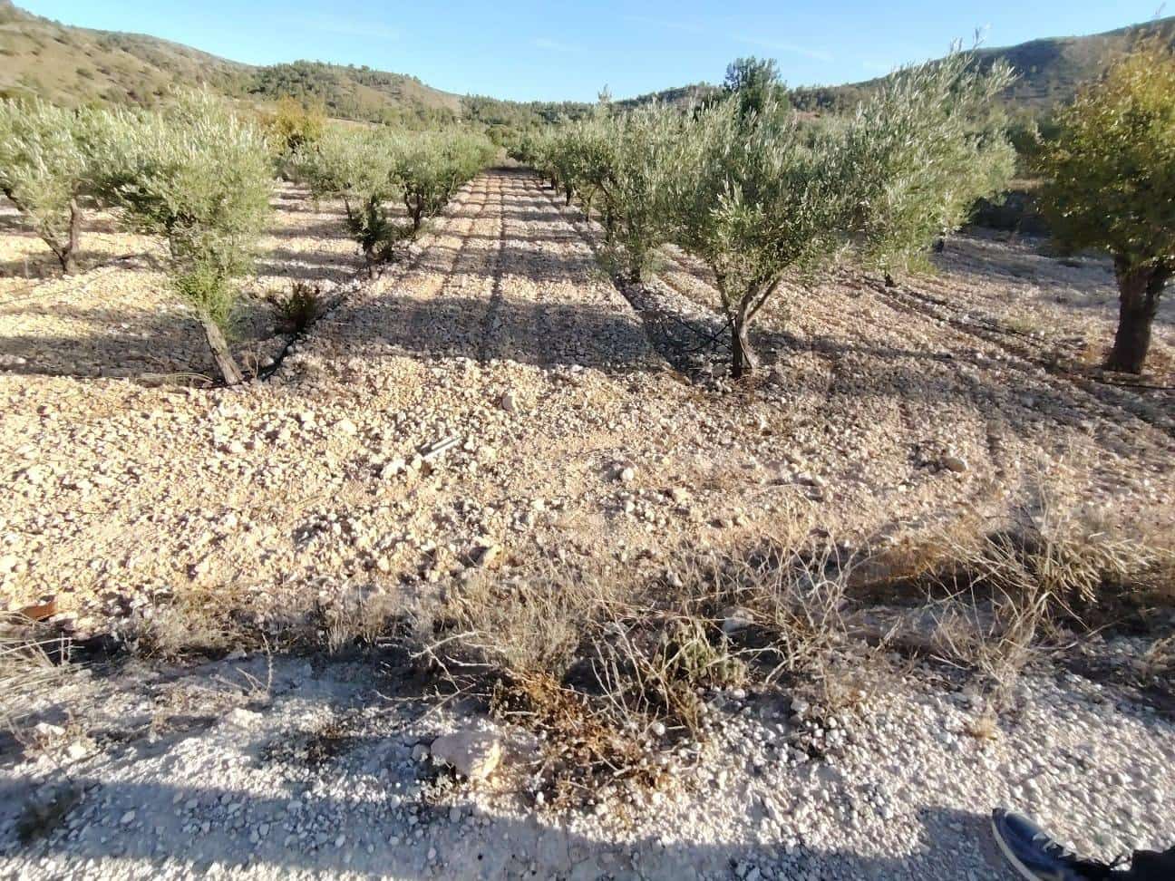 Byggegrund til salg i La Romana - € 35.000 (Ref: 9377915)