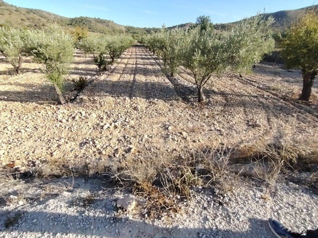 Bouwgrond te koop in La Romana - € 35.000 (Ref: 9377915)