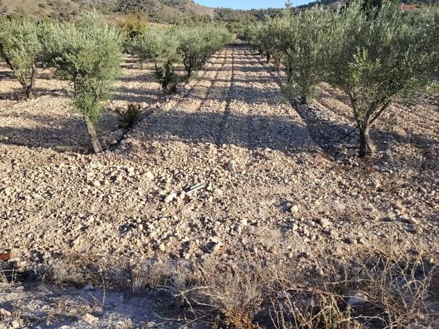 Bouwgrond te koop in La Romana - € 35.000 (Ref: 9377915)