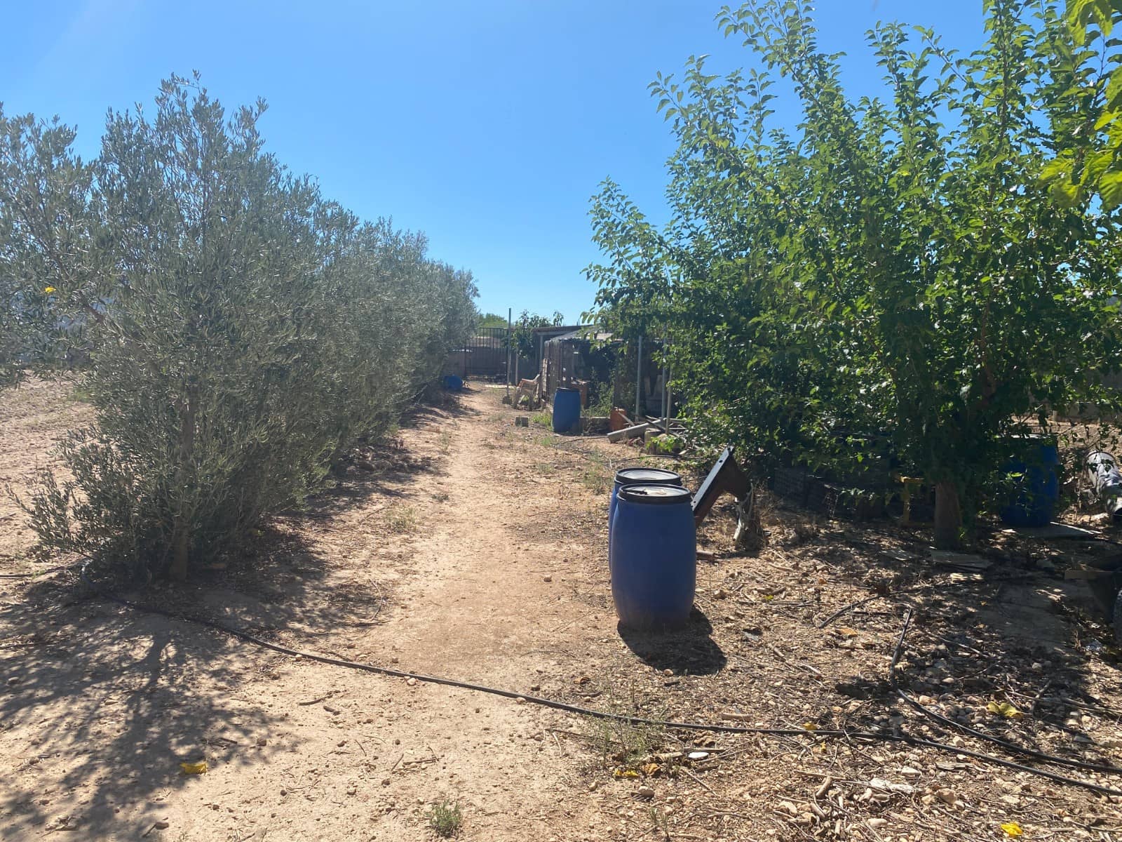 3 makuuhuone Maalaistalo myytävänä paikassa Salinas mukana uima-altaan 
autotalli - 249 999 € (Ref: 9377928)