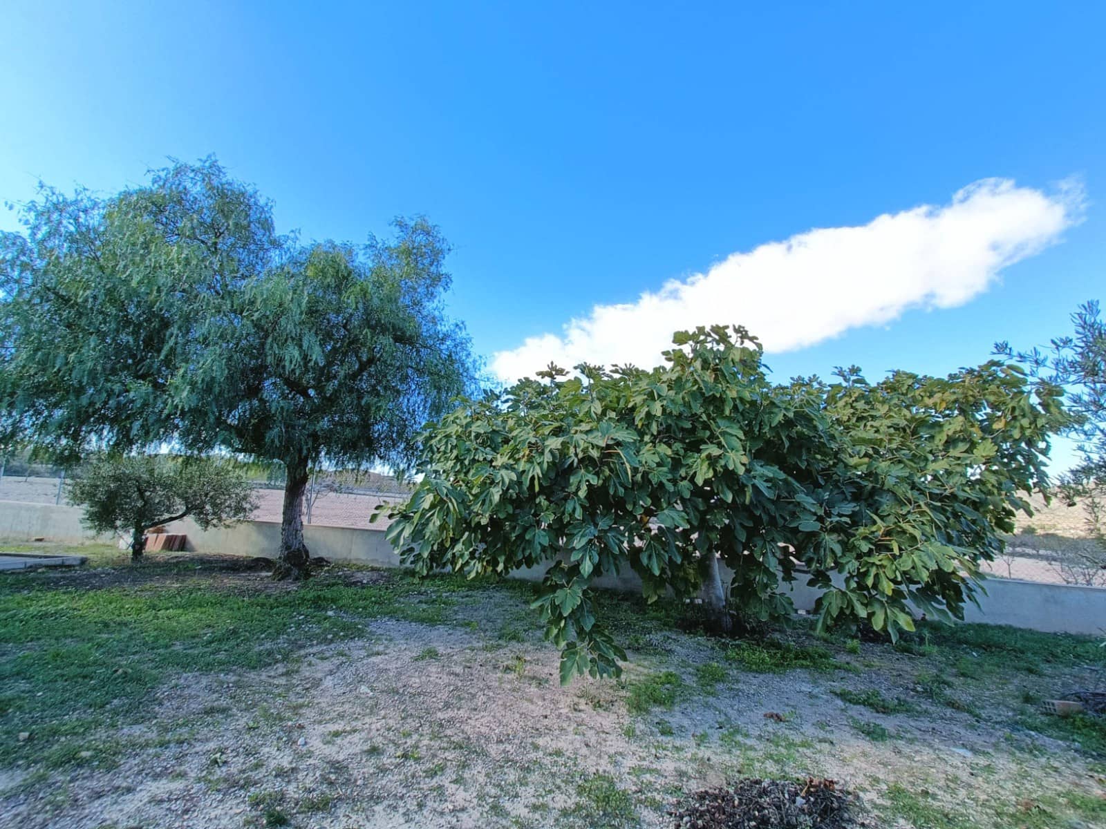 4 soveværelse Finca/Landehus til salg i Hondon de los Frailes - € 245.000 (Ref: 9425760)