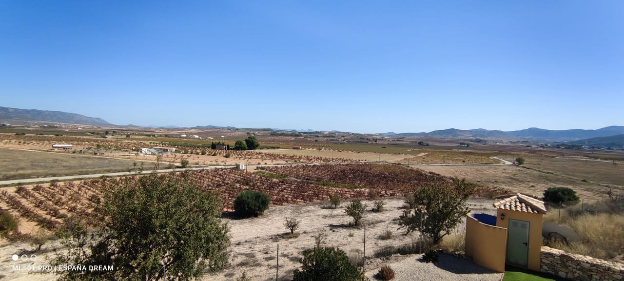 4 quarto Quinta/Casa Rural para venda em Pinoso com piscina - 349 995 € (Ref: 9441878)