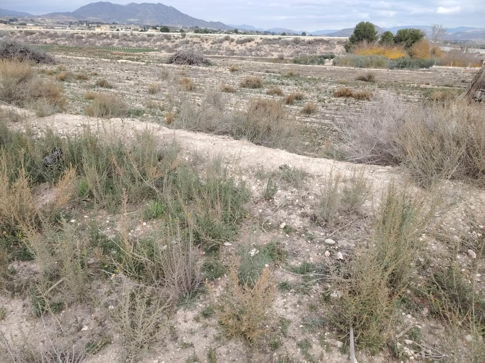 2 Zimmer Finca/Landgut zu verkaufen in Novelda mit Pool - 87.500 € (Ref: 9471192)