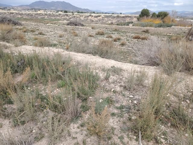 2 Zimmer Finca/Landgut zu verkaufen in Novelda mit Pool - 87.500 € (Ref: 9471192)