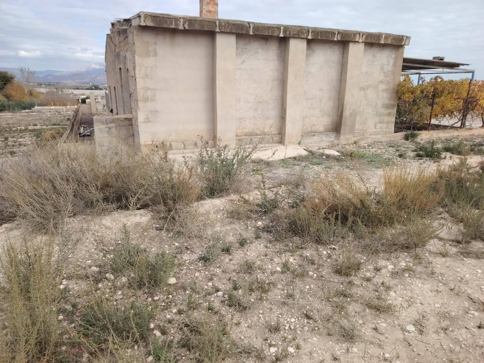 2 Zimmer Finca/Landgut zu verkaufen in Novelda mit Pool - 87.500 € (Ref: 9471192)