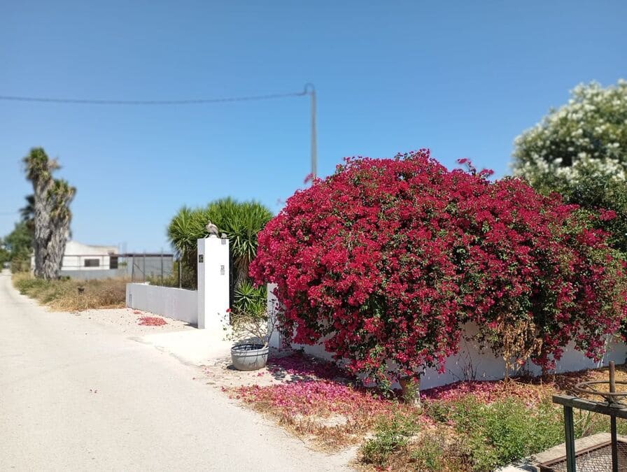 4 chambre Finca/Maison de Campagne à vendre à Daya Nueva avec piscine garage - 395 000 € (Ref: 9955424)