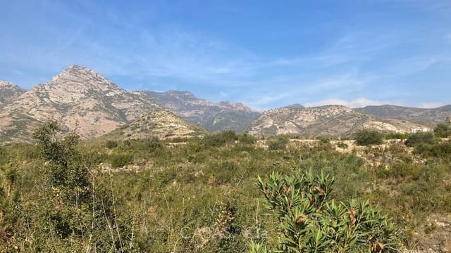 Mark till salu i Gandia - 105 000 € (Ref: 9566410)