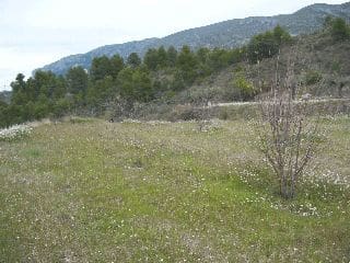 Landgrundstück zu verkaufen in Almudaina - 55.000 € (Ref: 10048195)