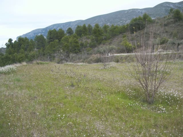 Landgrundstück zu verkaufen in Almudaina - 55.000 € (Ref: 10048195)