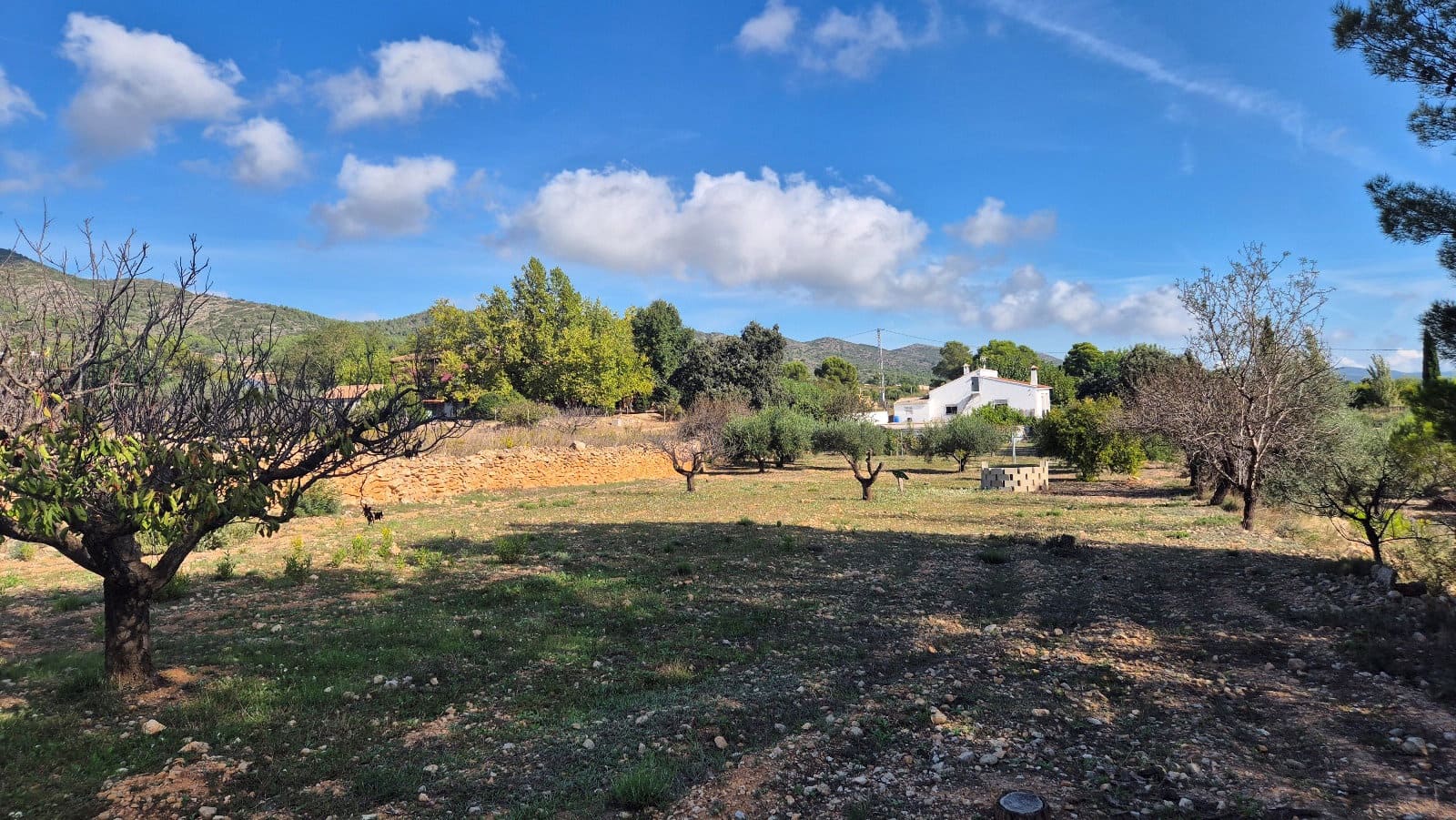4 slaapkamer Villa te koop in Aielo de Malferit met zwembad garage - € 220.000 (Ref: 10157173)