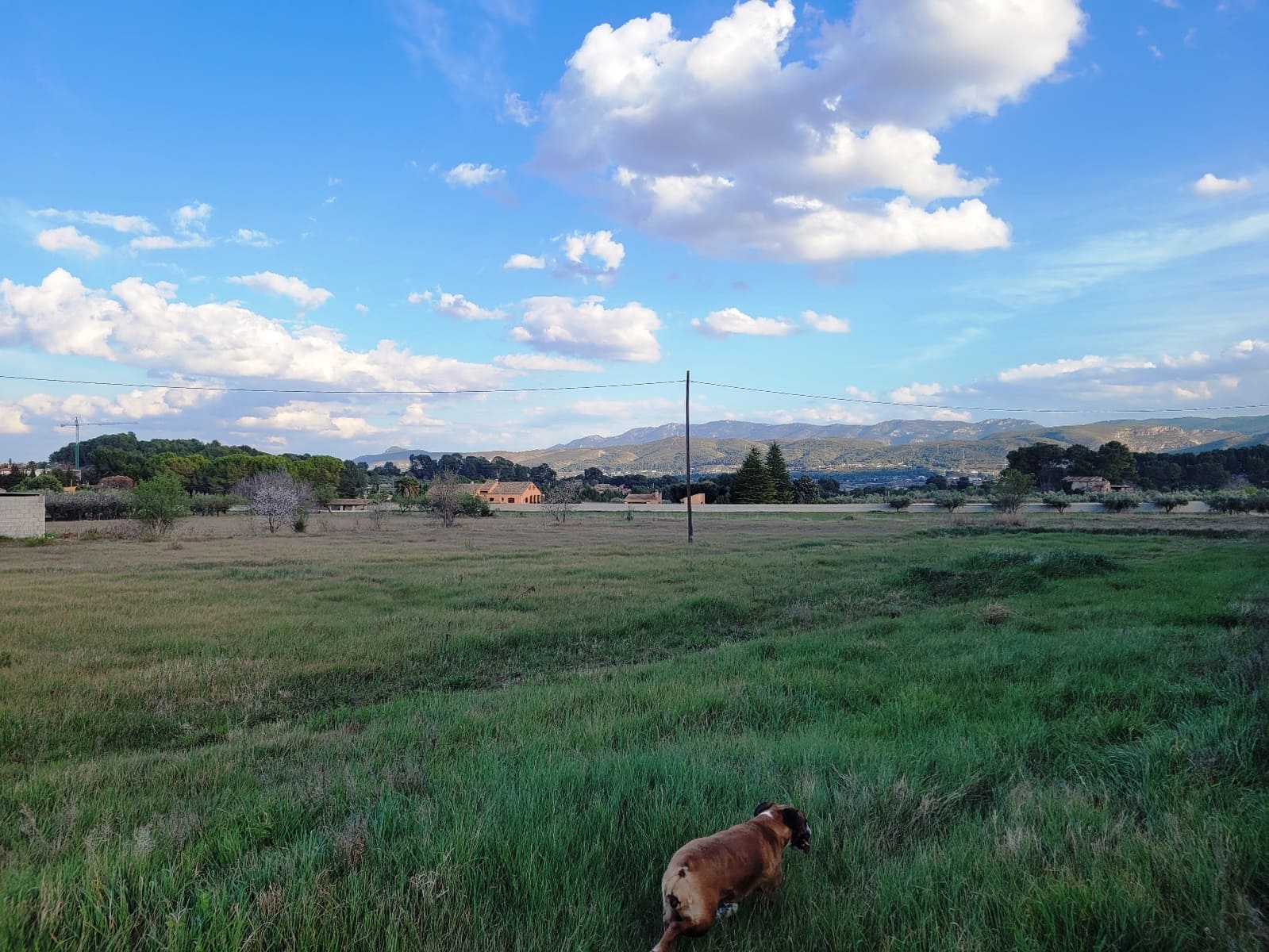 7 sypialnia Finka/Dom wiejski na sprzedaż w Ontinyent z basenem garażem - 650 000 € (Ref: 6697138)