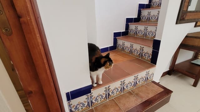 3 soveværelse Byhus til salg i Palomar - € 158.500 (Ref: 7683264)