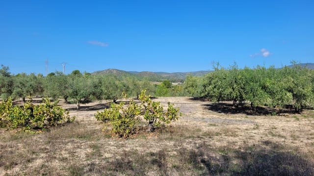 Undeveloped Land for sale in Ontinyent - € 35,000 (Ref: 7869147)
