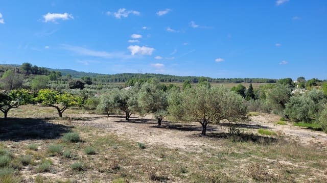 Ubebygd land til salgs i Ontinyent - € 35 000 (Ref: 7869147)