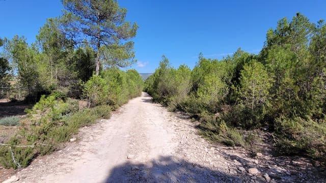 Terreno Não Urbanizado para venda em Ontinyent - 35 000 € (Ref: 7869147)