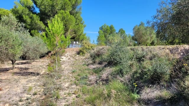 Terreno Não Urbanizado para venda em Ontinyent - 35 000 € (Ref: 7869147)