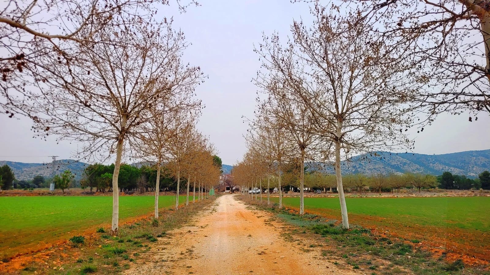 10 soveværelse Finca/Landehus til salg i Bocairent med garage - € 1.900.000 (Ref: 8180948)