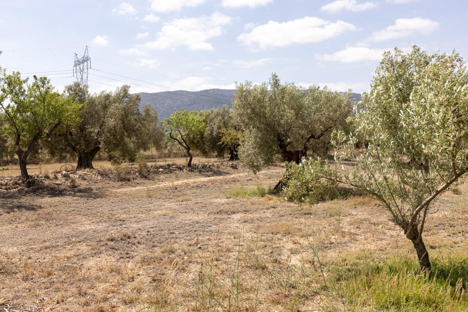 5 soveværelse Villa til salg i Biar med swimmingpool - € 499.000 (Ref: 8371964)