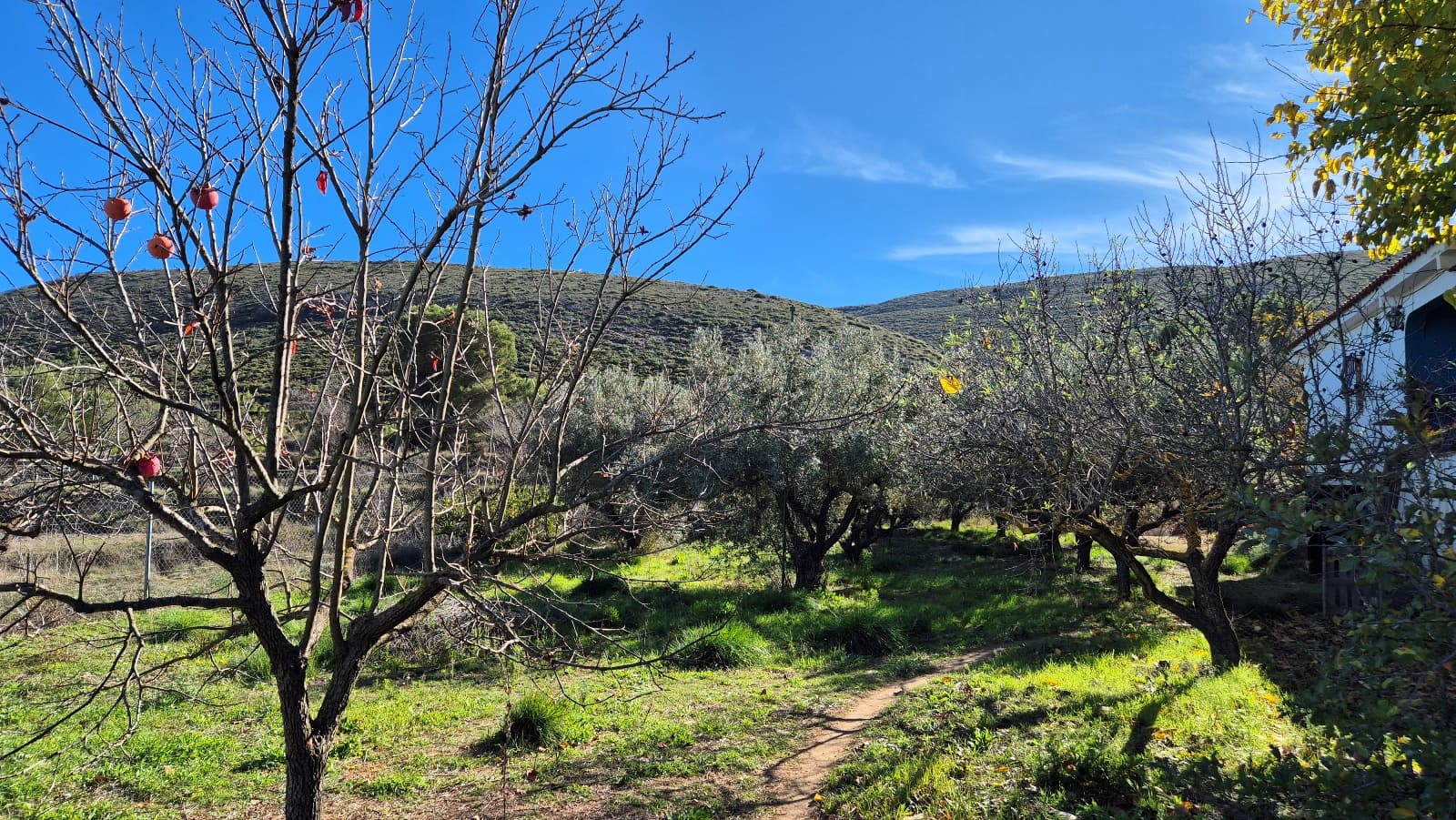 3 soveværelse Villa til salg i Ontinyent med garage - € 160.000 (Ref: 9420032)