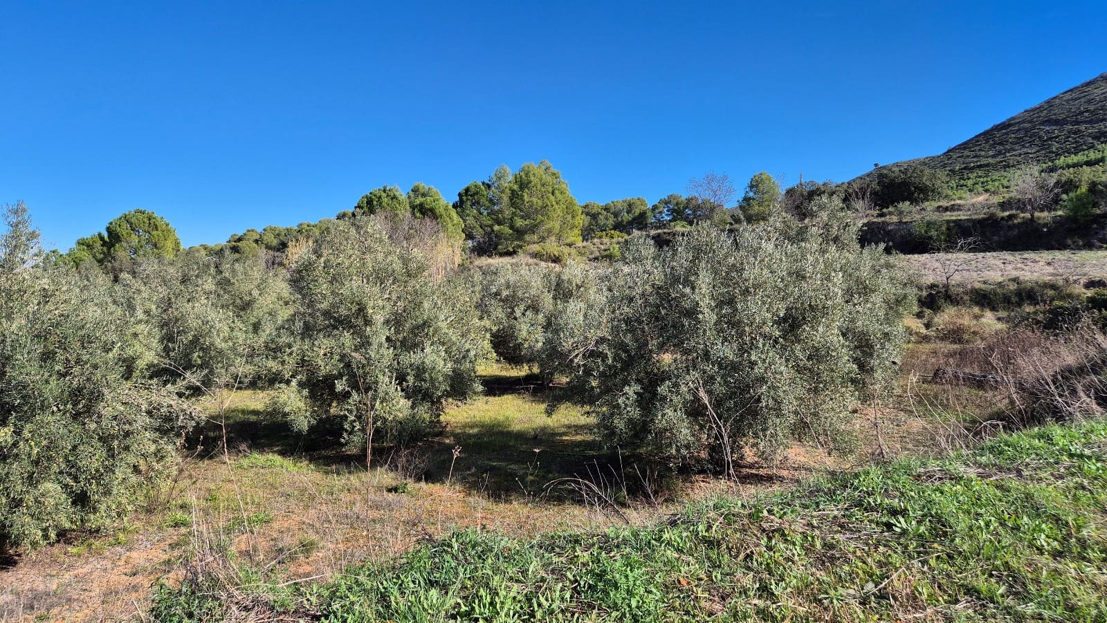 3 soveværelse Villa til salg i Ontinyent med garage - € 160.000 (Ref: 9420032)