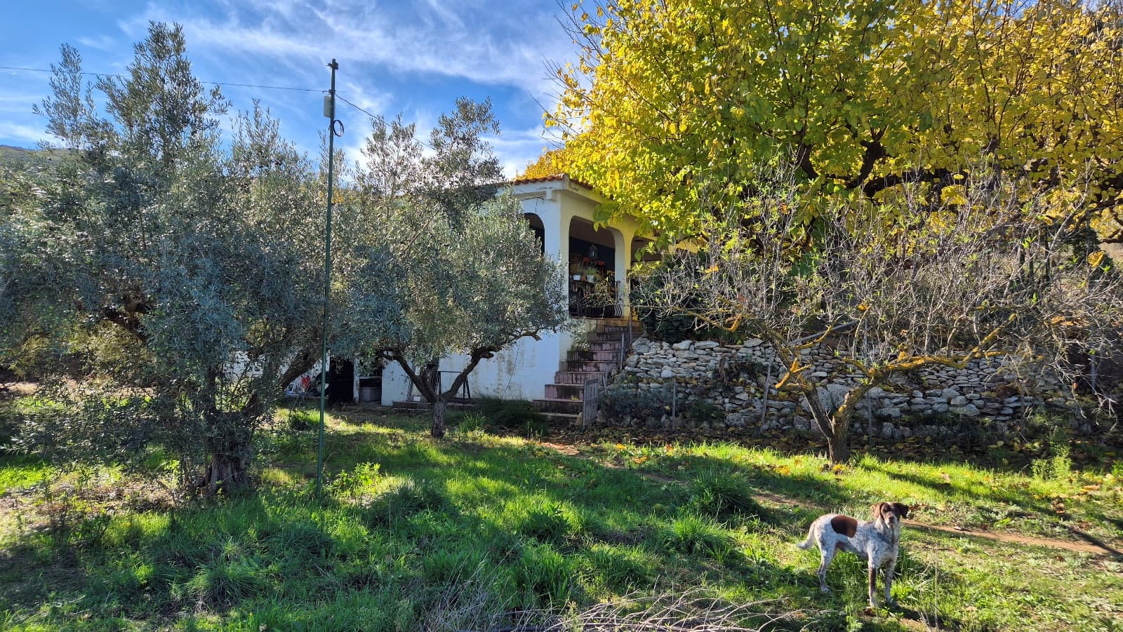 3 soveværelse Villa til salg i Ontinyent med garage - € 160.000 (Ref: 9420032)