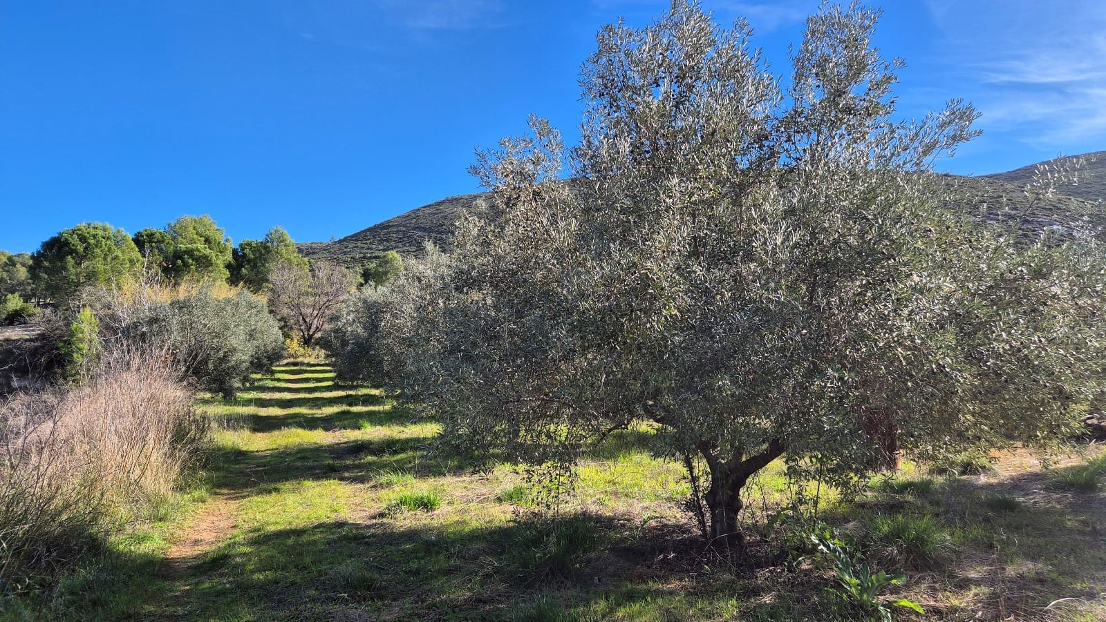 3 soveværelse Villa til salg i Ontinyent med garage - € 160.000 (Ref: 9420032)