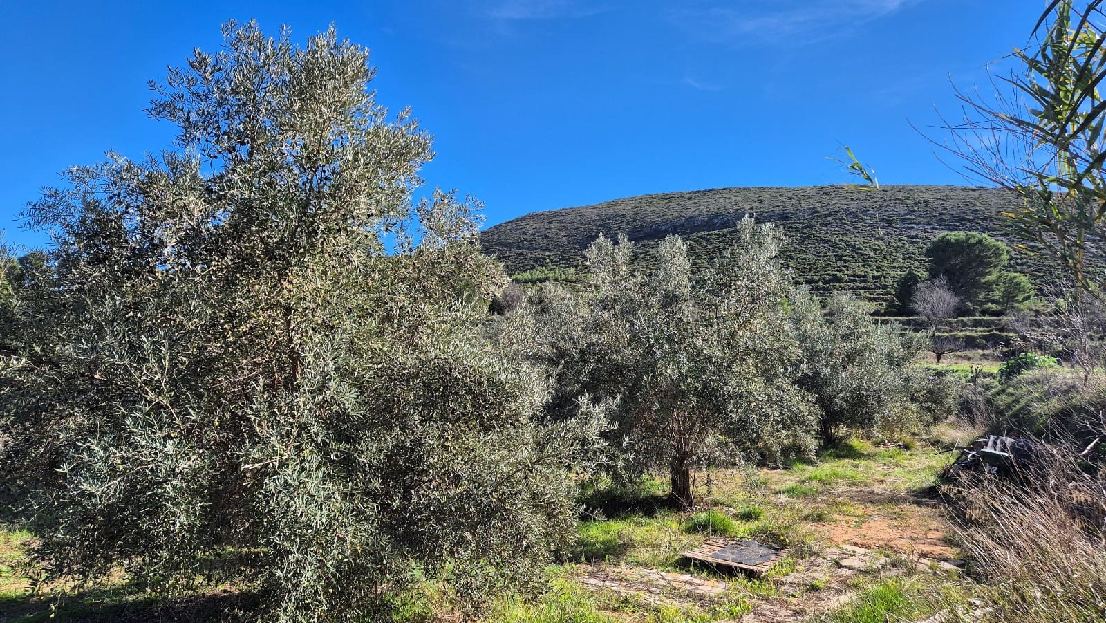 3 soveværelse Villa til salg i Ontinyent med garage - € 160.000 (Ref: 9420032)