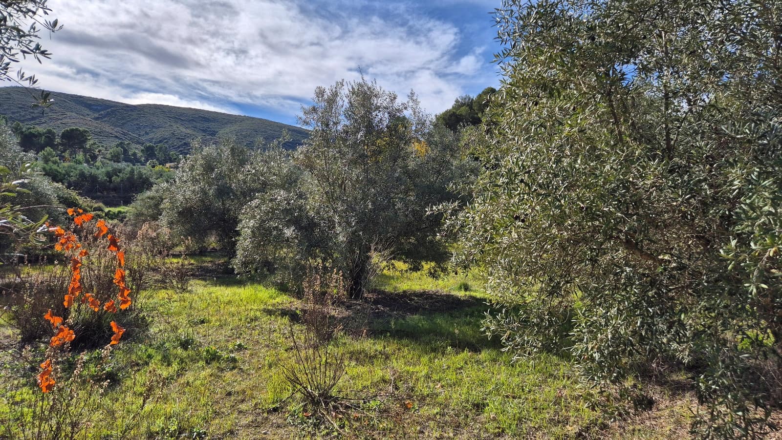 3 soveværelse Villa til salg i Ontinyent med garage - € 160.000 (Ref: 9420032)