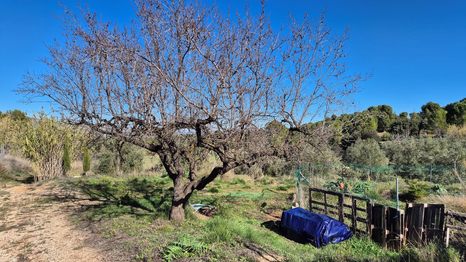 3 soveværelse Villa til salg i Ontinyent med garage - € 160.000 (Ref: 9420032)