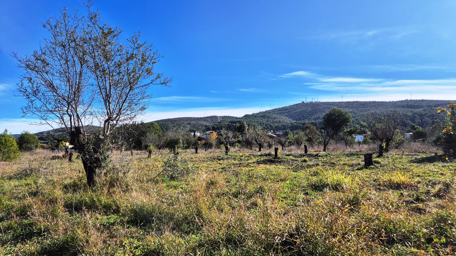 10 bedroom Finca/Country House for sale in Ontinyent - € 490,000 (Ref: 9442920)