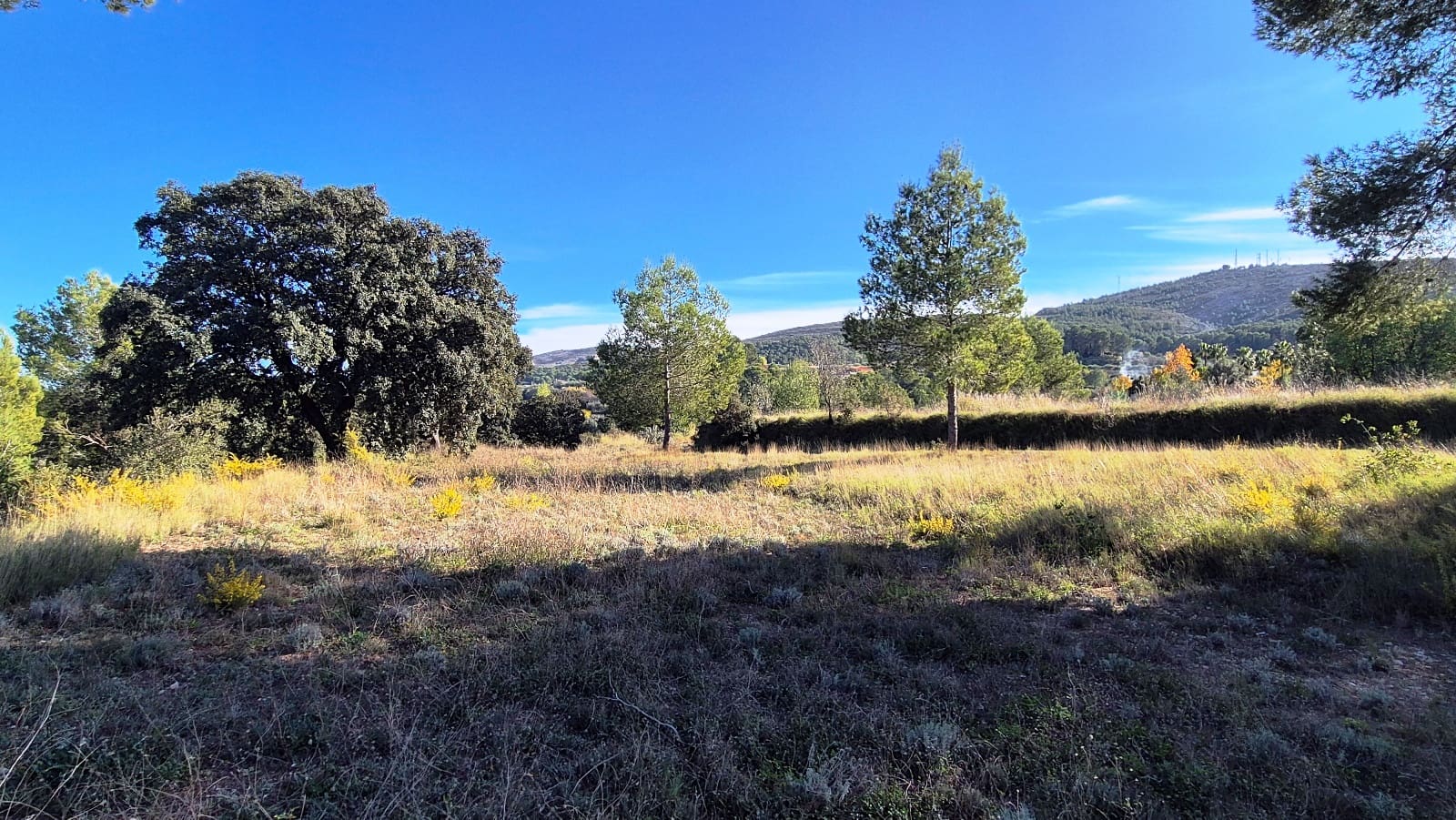 10 bedroom Finca/Country House for sale in Ontinyent - € 490,000 (Ref: 9442920)