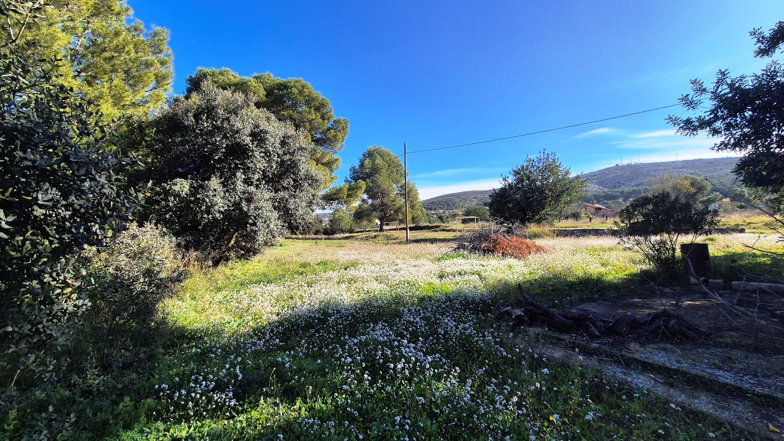 10 bedroom Finca/Country House for sale in Ontinyent - € 490,000 (Ref: 9442920)