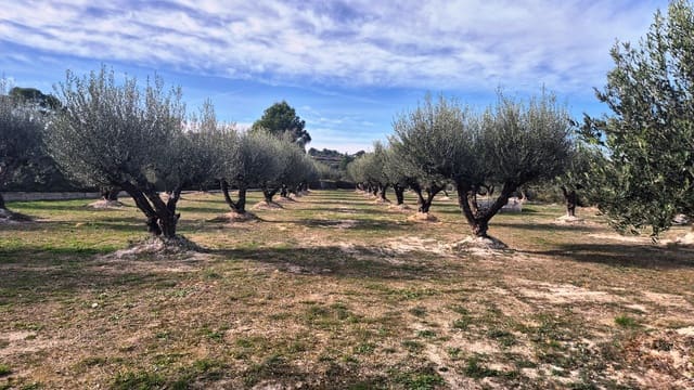 3 Zimmer Finca/Landgut zu verkaufen in Albaida mit Garage - 210.000 € (Ref: 9537032)