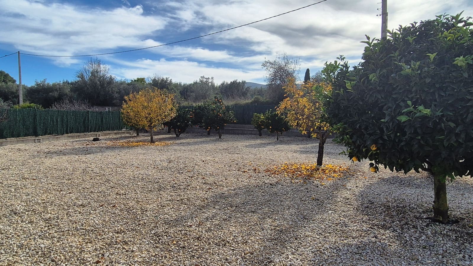 3 Zimmer Finca/Landgut zu verkaufen in Albaida mit Garage - 210.000 € (Ref: 9537032)