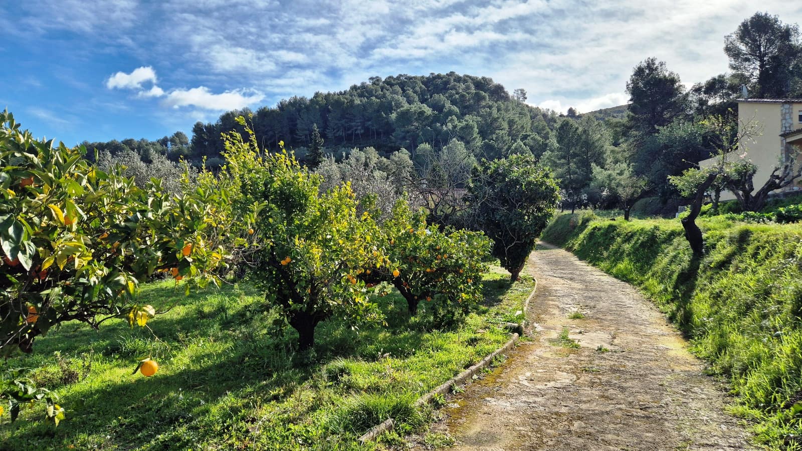 3 makuuhuone Huvila myytävänä paikassa Ontinyent mukana uima-altaan 
autotalli - 210 000 € (Ref: 9578038)