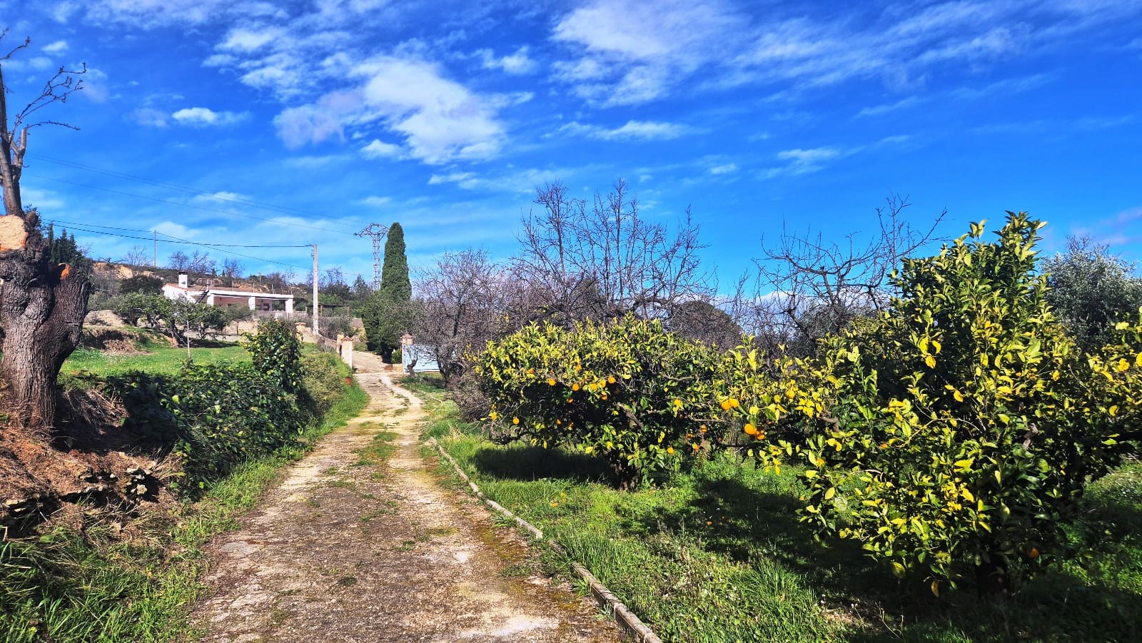 3 makuuhuone Huvila myytävänä paikassa Ontinyent mukana uima-altaan 
autotalli - 210 000 € (Ref: 9578038)