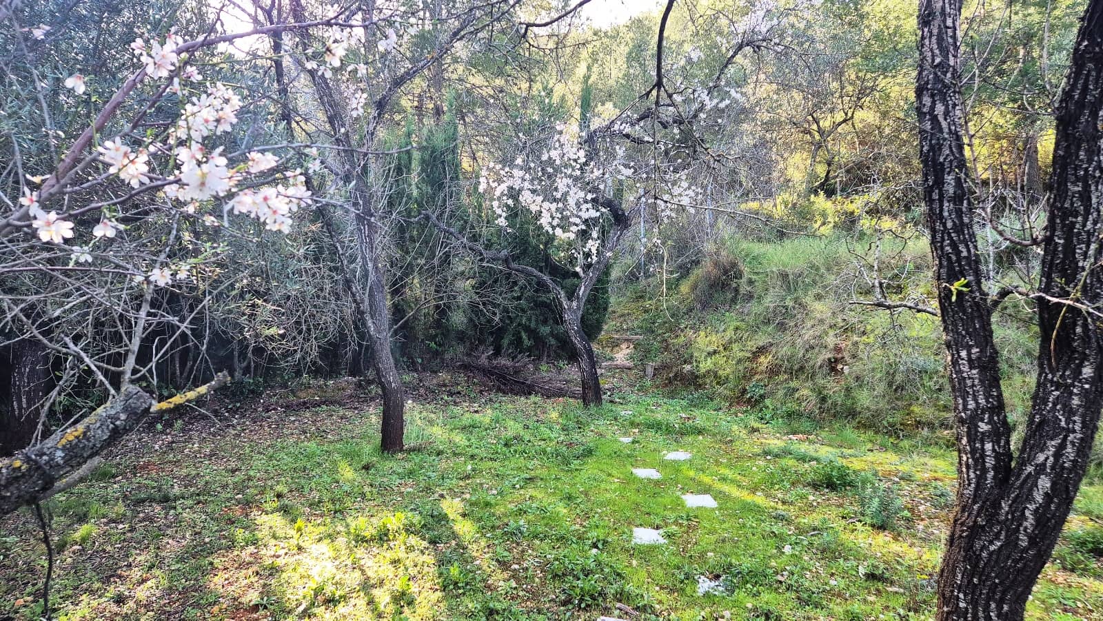 3 makuuhuone Huvila myytävänä paikassa Ontinyent mukana uima-altaan 
autotalli - 210 000 € (Ref: 9578038)