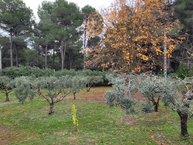 3 slaapkamer Villa te koop in Ontinyent met zwembad garage - € 270.000 (Ref: 9603670)